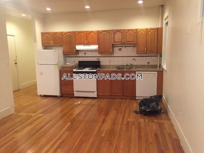 Allston 3 Bed, 1 Bath Unit Boston - $3,150