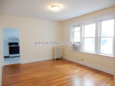 Brighton 2 Beds 1 Bath Boston - $3,195 No Fee