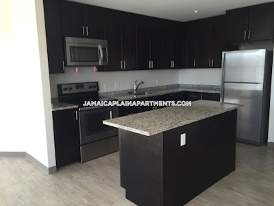 Jamaica Plain Gorgeous 2 bed 1 bath luxury unit available NOW on Centre St in JP! Boston - $3,150