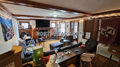 Brighton Great 7 Beds 3 Baths Boston - $10,675