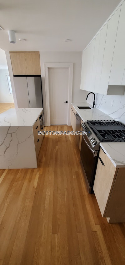 Dorchester 4 Beds 3 Baths Boston - $5,400