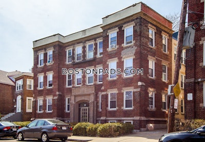 Allston 1 Bed 1 Bath Boston - $2,550 No Fee