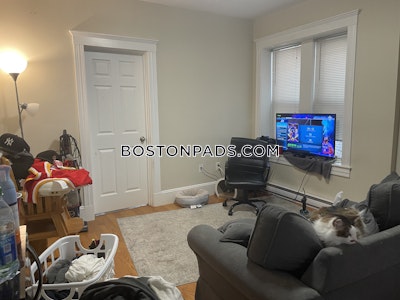 Mission Hill 2 Beds Mission Hill Boston - $3,195 No Fee