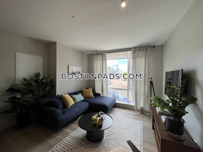 Brighton 1 Bed 1 Bath Boston - $3,040