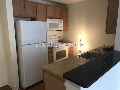 Dorchester Apartment for rent 2 Bedrooms 2 Baths Boston - $5,936 No Fee