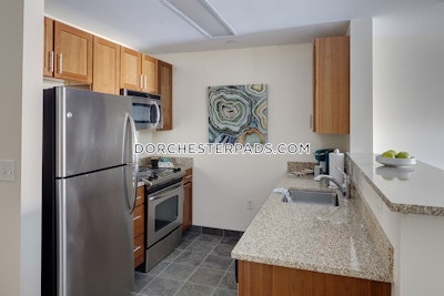 Dorchester Apartment for rent Studio 1 Bath Boston - $3,880 No Fee