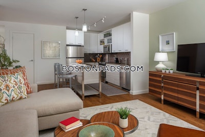 Downtown 1 Bed 1 Bath Boston - $3,750