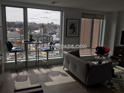 Brighton Extremely beautiful 2 Beds 2 Baths Boston - $4,521 No Fee