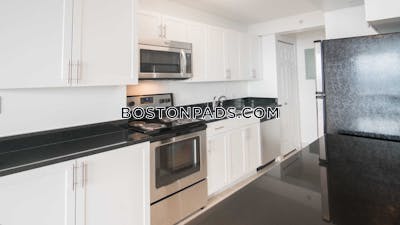 West End Apartment for rent 2 Bedrooms 2 Baths Boston - $5,455
