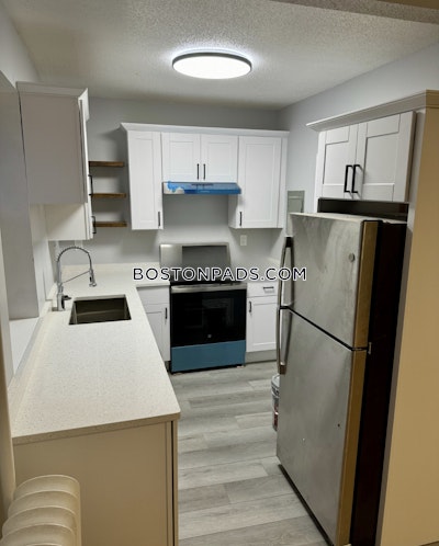 Brighton 2 Beds 1 Bath Boston - $2,495 No Fee