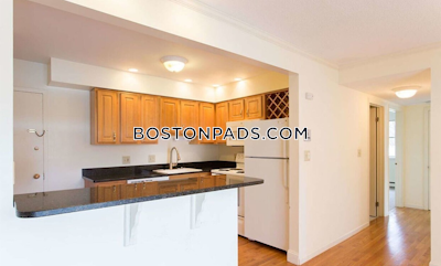 Newton Apartment for rent 2 Bedrooms 2 Baths  Chestnut Hill - $3,400