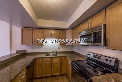 Cambridge Apartment for rent 2 Bedrooms 2 Baths  Central Square/cambridgeport - $4,300