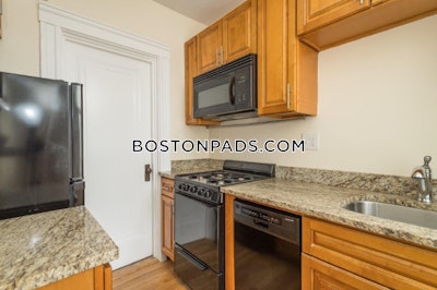 Brighton Apartment for rent 1 Bedroom 1 Bath Boston - $2,500