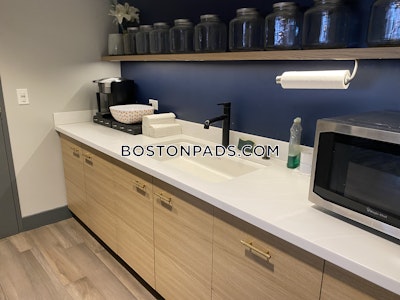 Allston Apartment for rent 1 Bedroom 1 Bath Boston - $2,850