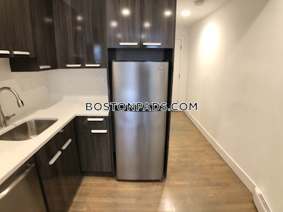 Beacon Hill Nice 2 Bed 1 Bath available 9/1 on West Cedar St. in the West End  Boston - $4,200