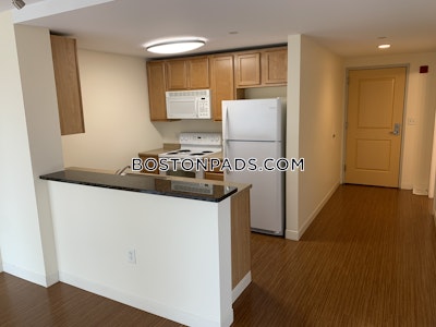 Dorchester Apartment for rent 2 Bedrooms 2 Baths Boston - $3,648 No Fee