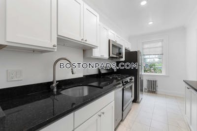 Brighton Apartment for rent 1 Bedroom 1 Bath Boston - $3,030 No Fee