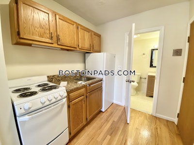 Mission Hill Apartment for rent Studio 1 Bath Boston - $1,900