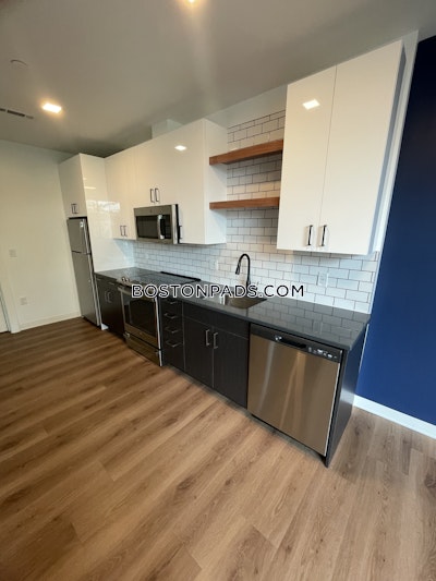 Allston Apartment for rent 1 Bedroom 1 Bath Boston - $3,990 No Fee