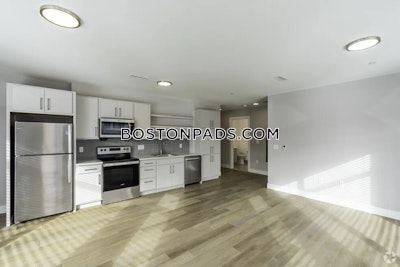 Jamaica Plain Apartment for rent 1 Bedroom 1 Bath Boston - $3,145