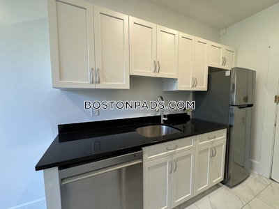 Brighton Apartment for rent 1 Bedroom 1 Bath Boston - $2,560 No Fee