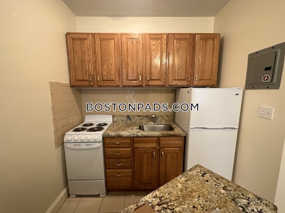 Northeastern/symphony Apartment for rent 2 Bedrooms 1 Bath Boston - $3,500