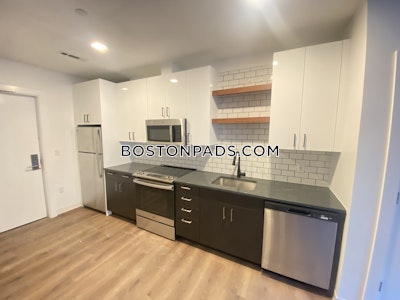 Allston Apartment for rent 2 Bedrooms 2 Baths Boston - $4,425 No Fee